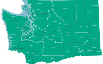 Here is the vote on I-1185 broken down by legislative district