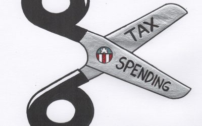 In defense of tax advisory votes