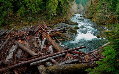 You broke the logjam, now we need your lobbying pressure even more