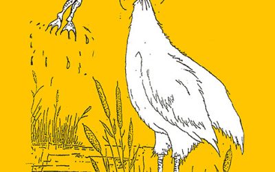 Yesterday’s I-1366 supreme court hearing — my thoughts