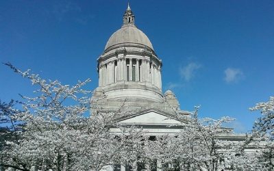 Why special session? Democrats want an income tax, Republicans don’t