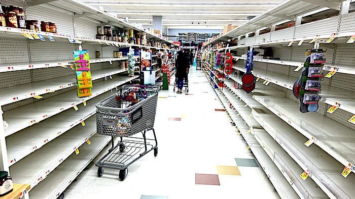 We Are Facing 2 Huge Crises: 1. The Coronavirus & 2. The Government’s Reaction To It